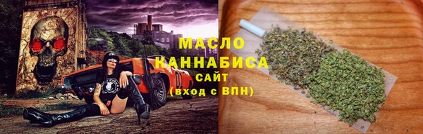 твердый Сясьстрой