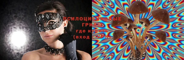 альфа пвп Тавда