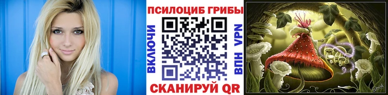 купить наркотики сайты  Инта  Псилоцибиновые грибы MAGIC MUSHROOMS 